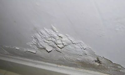 老師傅應(yīng)該如何挑選好的涂料？